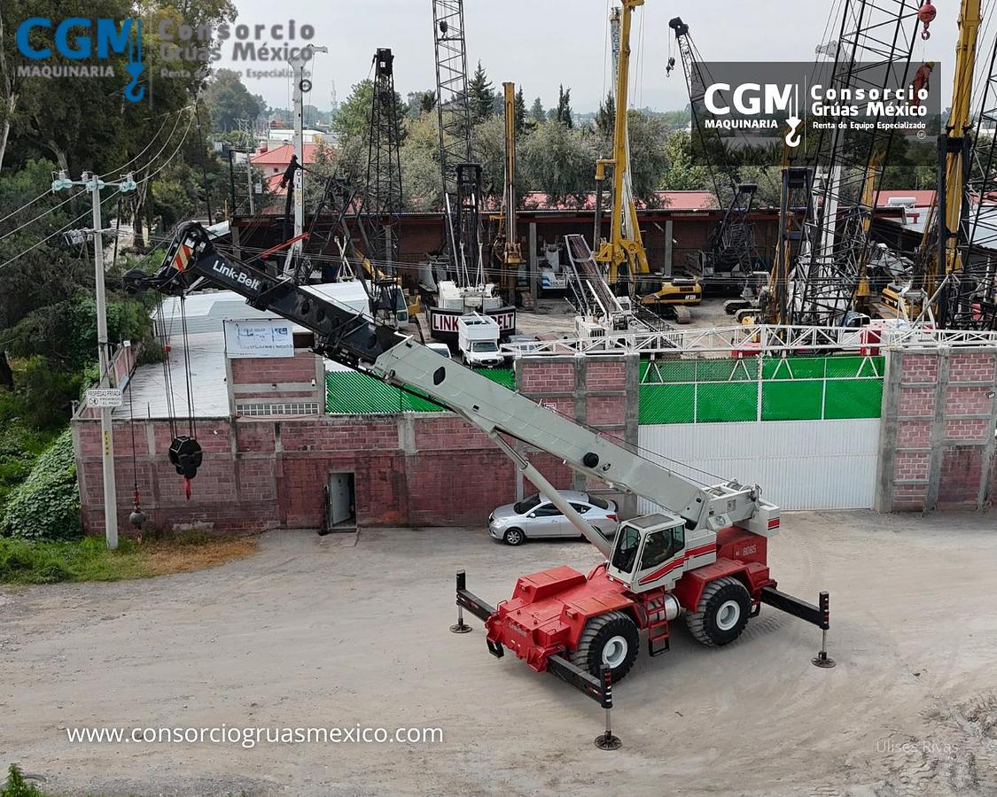 Usado LINK-BELT RTC-8065