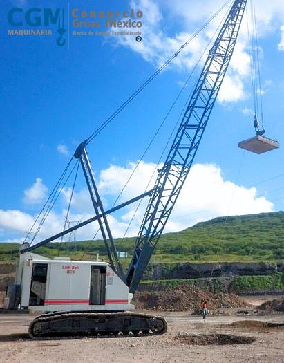 Usado LINK-BELT LS 318