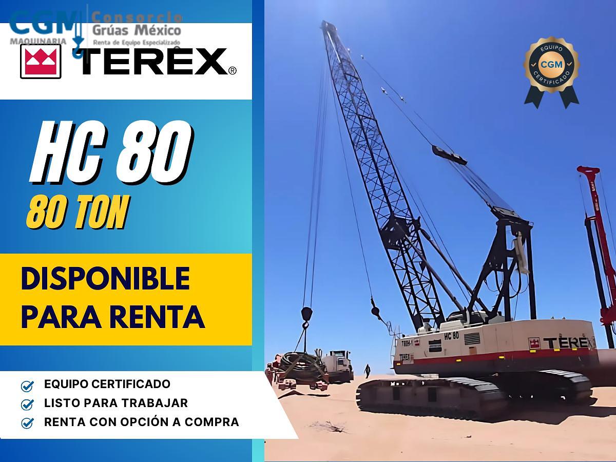Usado TEREX HC80