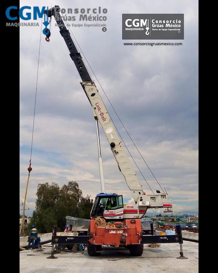 Usado LINK-BELT RTC-8065