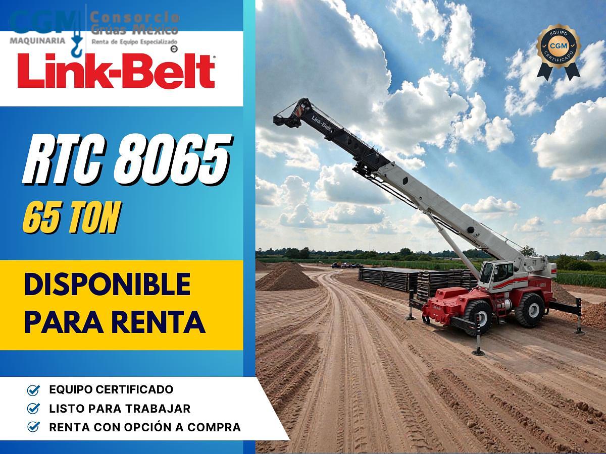 Usado LINK-BELT RTC-8065