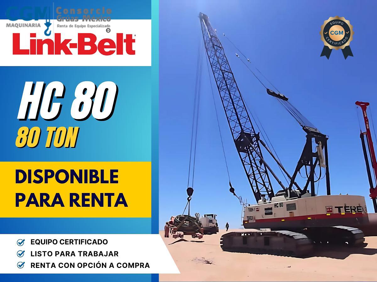 Usado TEREX HC80