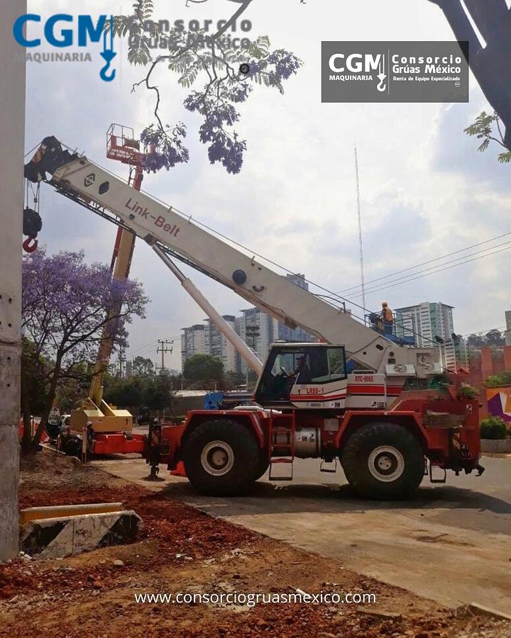 Usado LINK-BELT RTC-8065