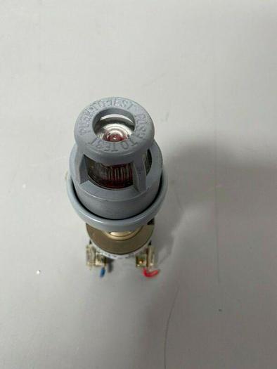 Used Allen-Bradley 800H-QPT24 Series C Illuminated Push Button Switch 24V