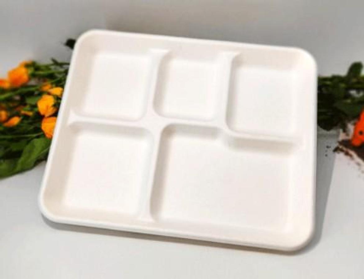 Used Automatic Molded pulp making machine