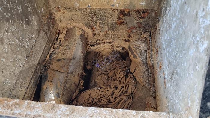 Usato De airing pugmill KEMA mod. PVP 35