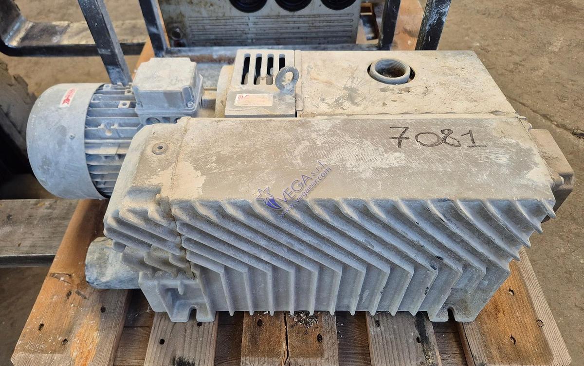 Usato Vacuum pump DVP