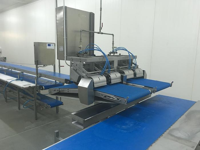Used BAADER, CARNITECH, MULTIVAC, Fomaco, Salmon processing line