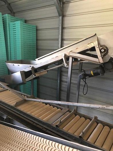 Used Fresh Pack Blueberry Packing Line