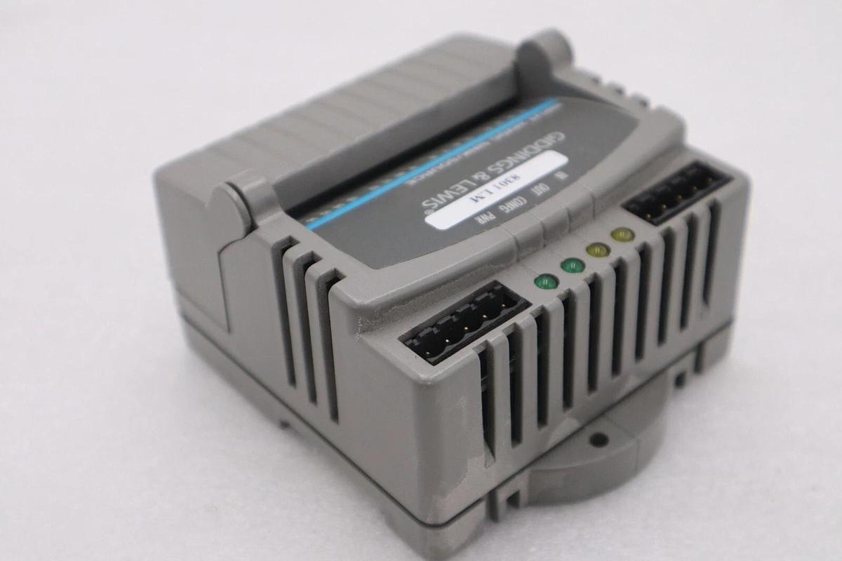 Used GIDDINGS & LEWIS M.1300.7372 R1 Input Module 24VDC SINK/SOURCE STOCK 646-D