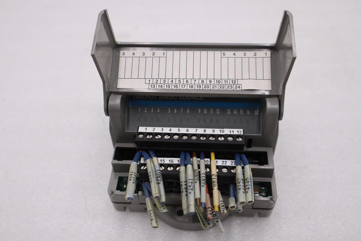Used GIDDINGS & LEWIS DANAHER MOTION M.1017.3095 R3 / M10173095 R3 MODULE #6006