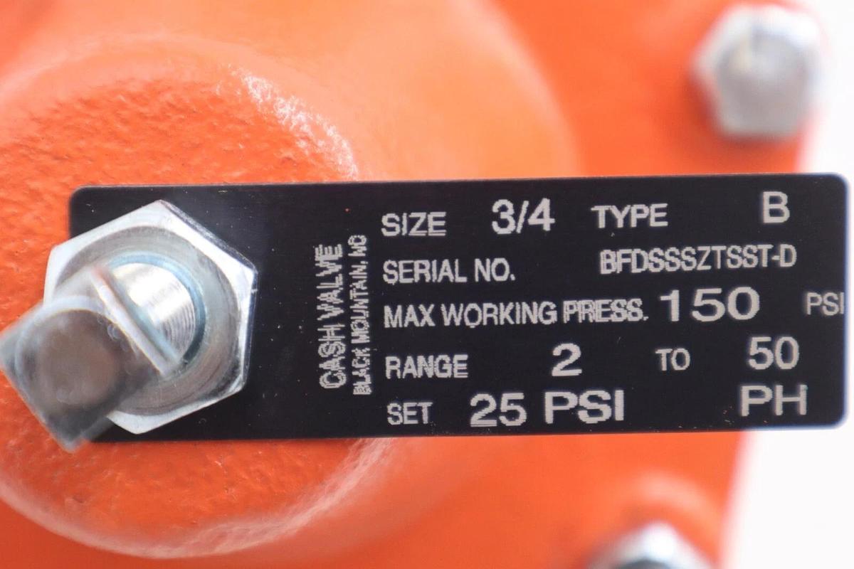 Used CASH VALVE BFDSSSZTSST-D SIZE 3/4'' NEW TYPE B 150 PSI STOCK 4278