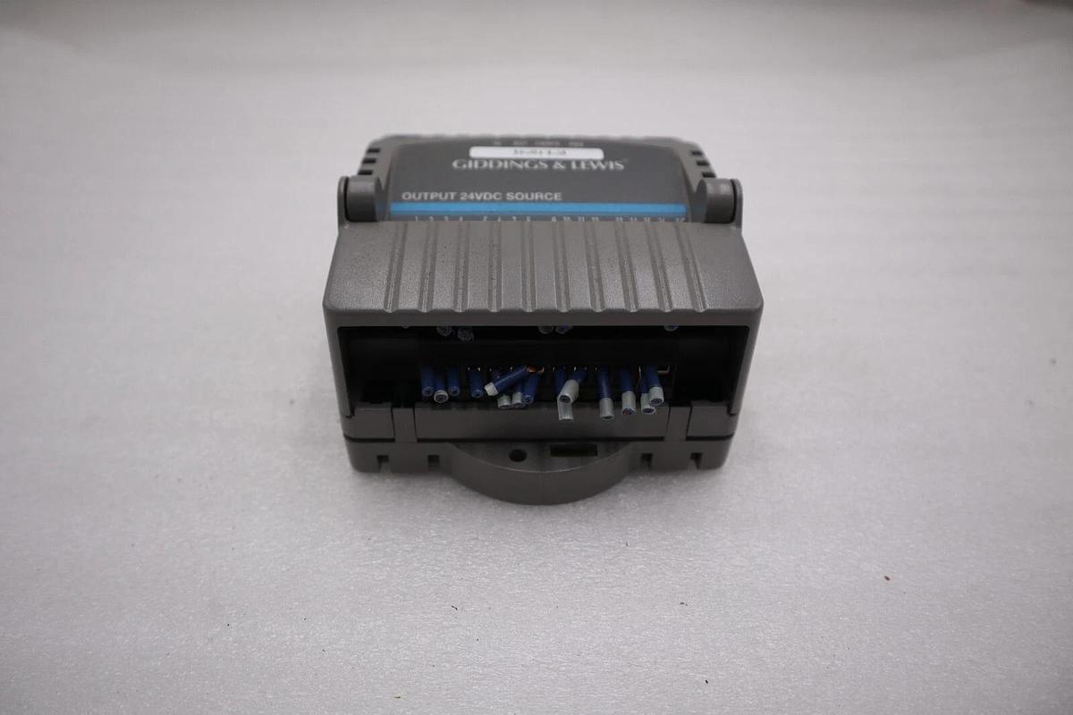 Used GIDDINGS & LEWIS DANAHER MOTION M.1017.3095 R3 / M10173095 R3 MODULE #5202A