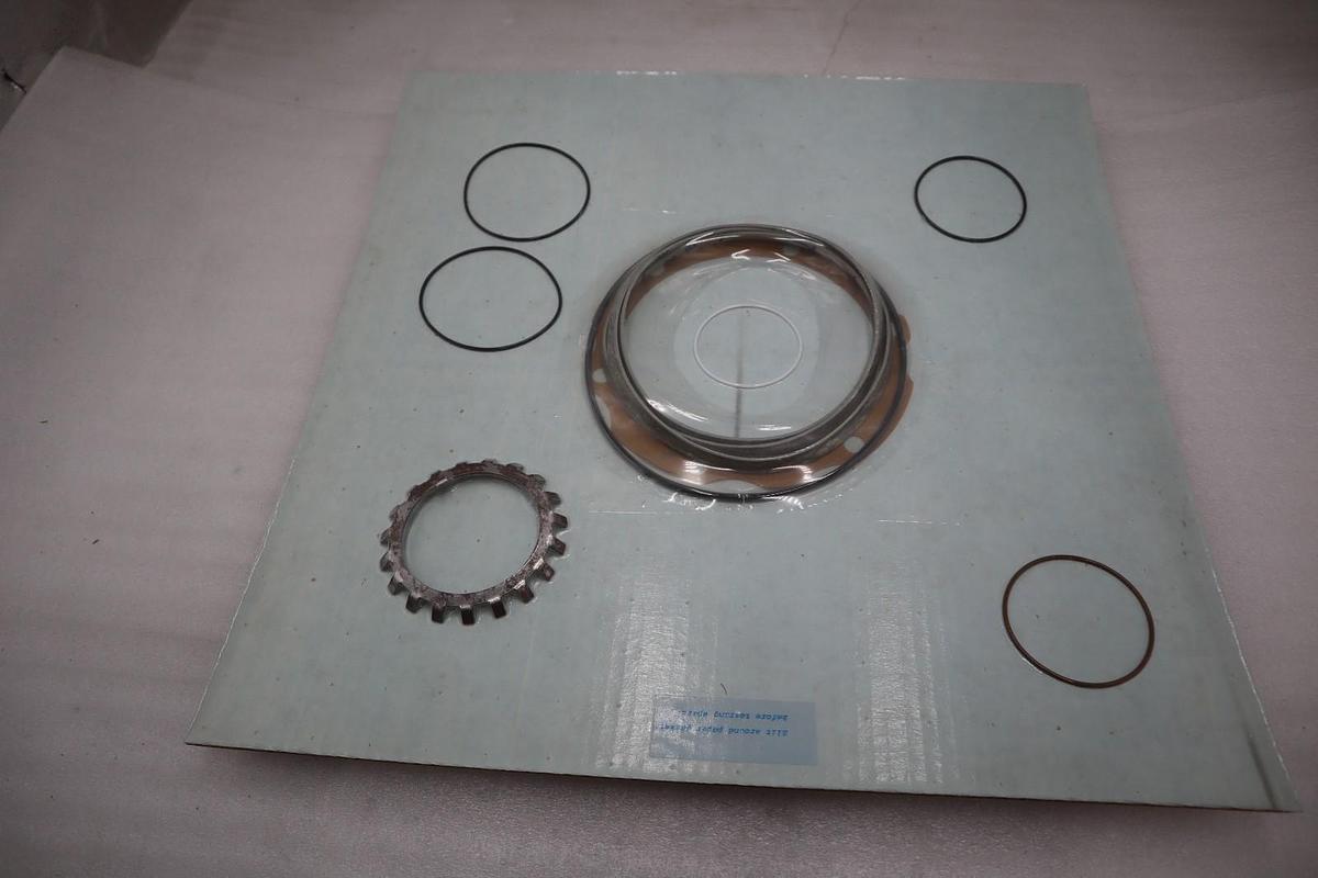 New Goulds R196-MKX17 Pump Seal Replacement Kit - STOCK GF668