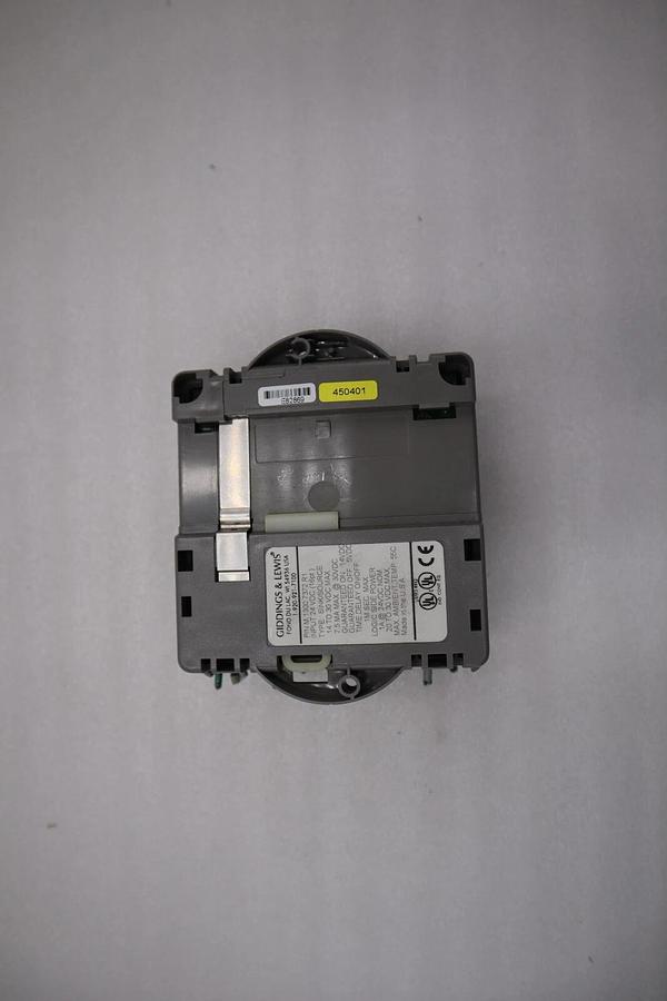 Used Giddings & Lewis M.1300.7372 R1 Input Module 24VDC SINK/SOURCE STOCK 5163A