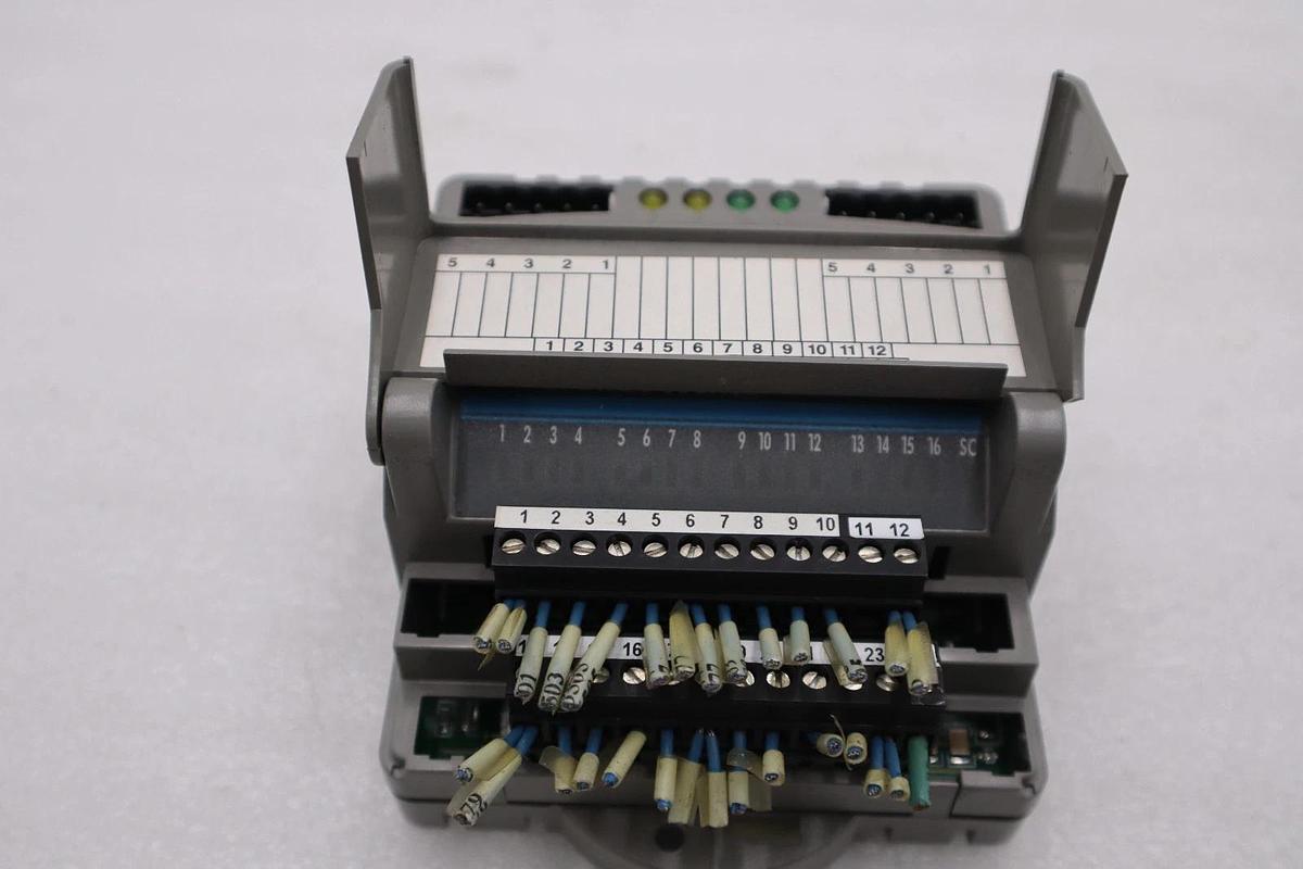 Used GIDDINGS & LEWIS DANAHER MOTION M.1017.3095 R3 / M10173095 R3 MODULE #6009