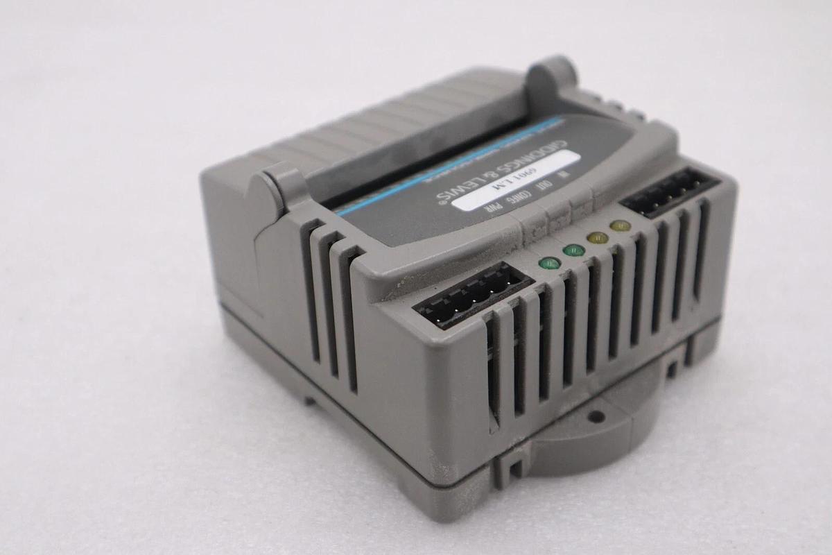 Used GIDDINGS & LEWIS M.1300.7372 R1 Input Module 24VDC SINK/SOURCE STOCK 648-D