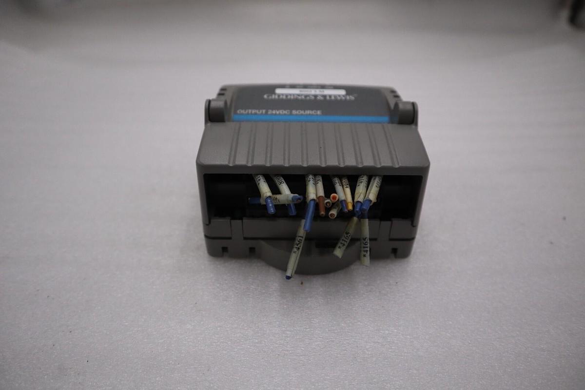 Used GIDDINGS & LEWIS DANAHER MOTION M.1017.3095 R3 / M10173095 R3 MODULE #5196A