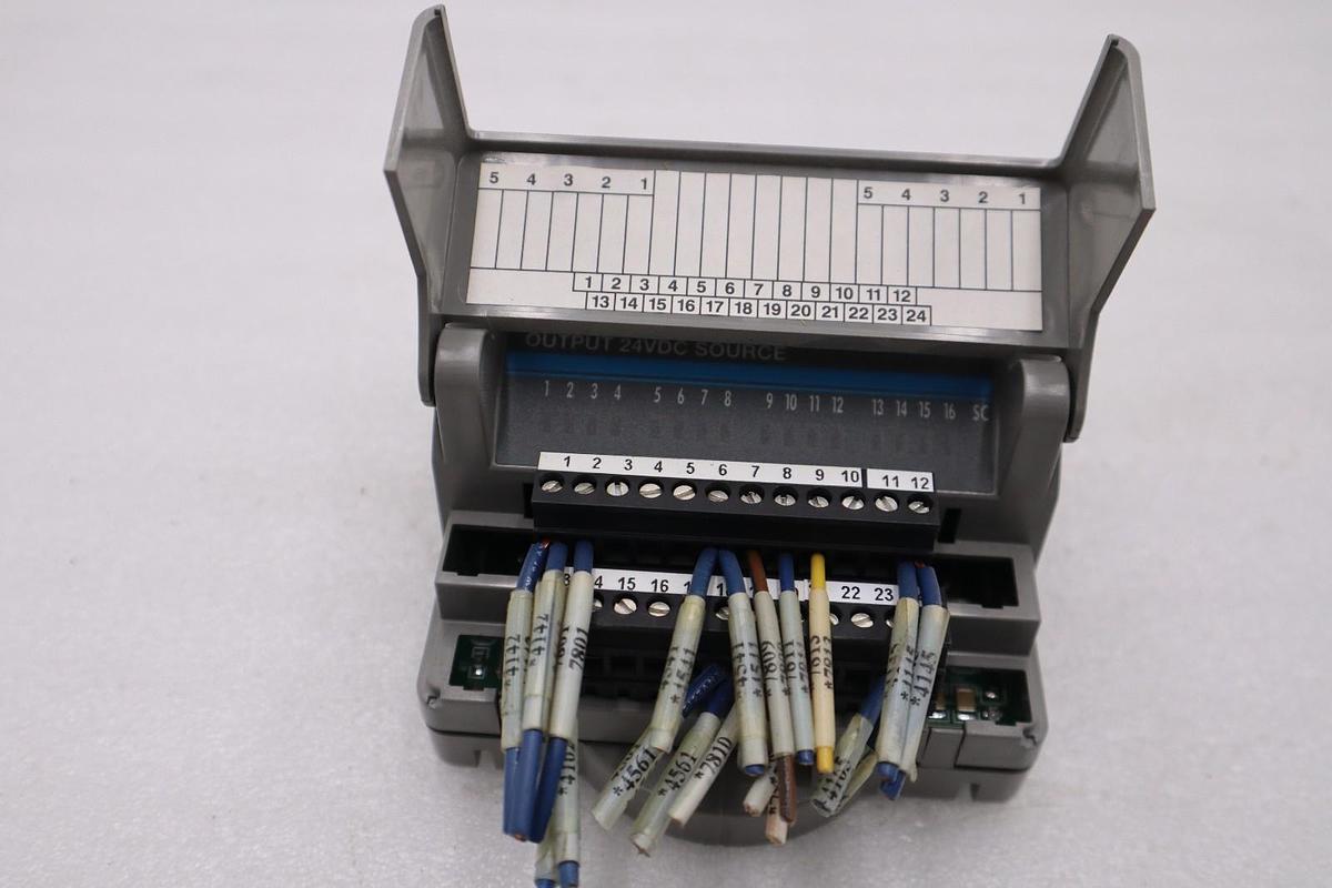 Used GIDDINGS & LEWIS DANAHER MOTION M.1017.3095 R3 / M10173095 R3 MODULE #6011