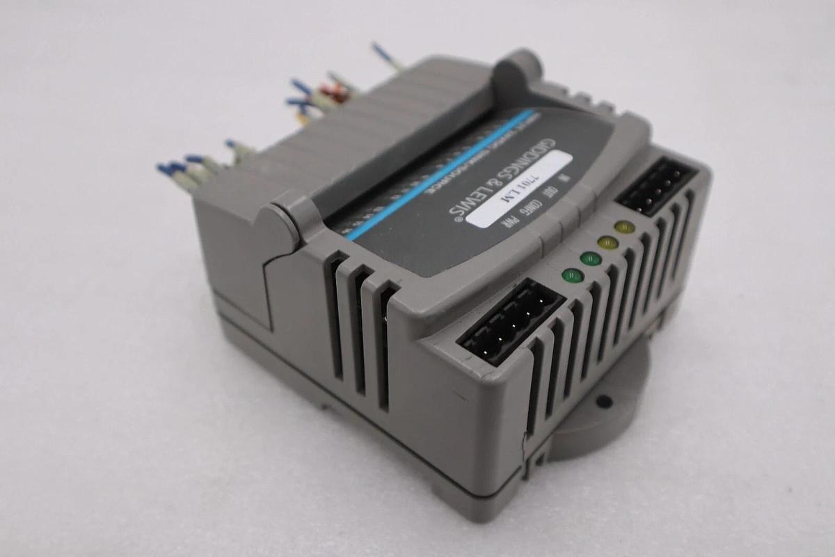 Used GIDDINGS & LEWIS M.1300.7372 R1 Input Module 24VDC SINK/SOURCE STOCK 636-D