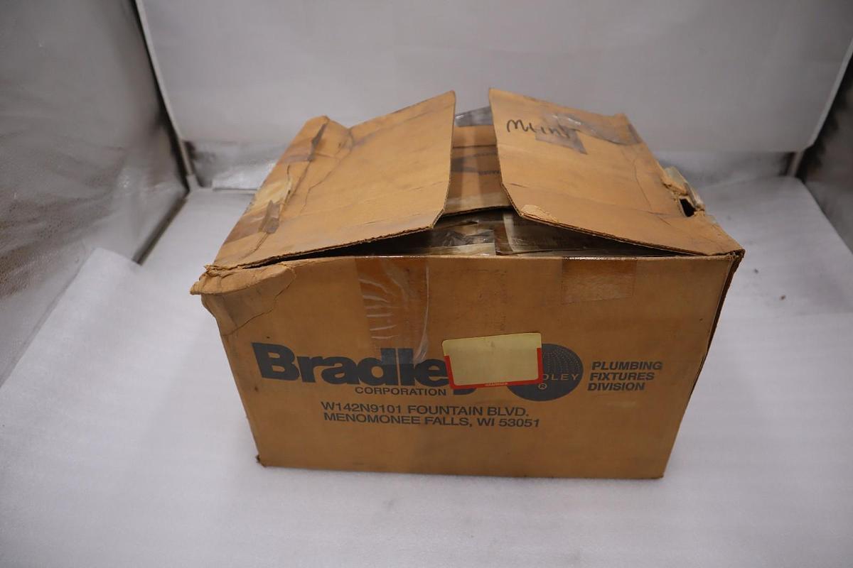 Bradley S19-220BGR Wall Mount Eye Wash W/ Dust Cover 4T009A - STOCK GF1359