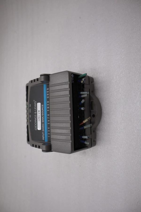 Used Giddings & Lewis M.1300.7372 R1 Input Module 24VDC SINK/SOURCE STOCK 5163A
