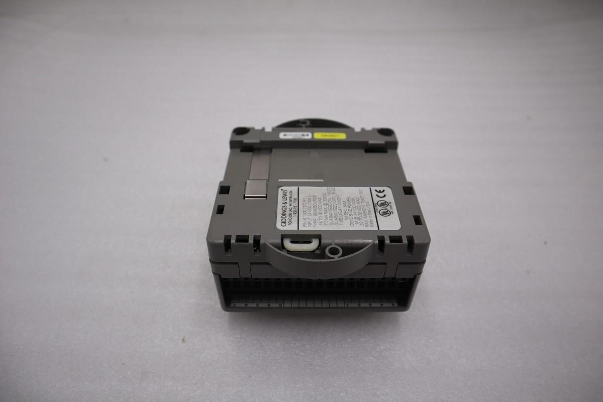 Used Giddings & Lewis M.1300.7372 R1 Input Module 24VDC SINK/SOURCE STOCK 5180A