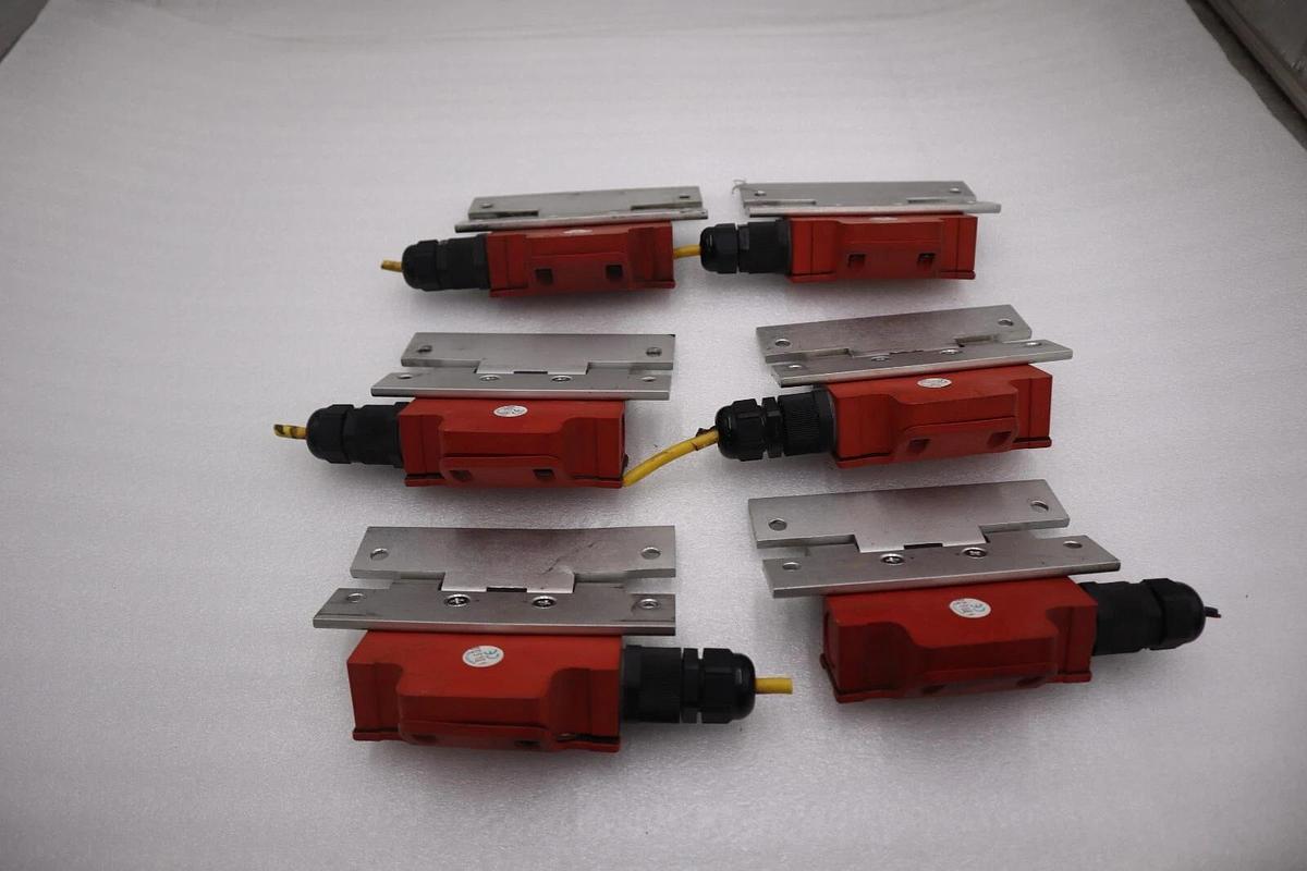 Used Schmersal TESZ1102/30 Hinged Safety Switch STOCK 5977