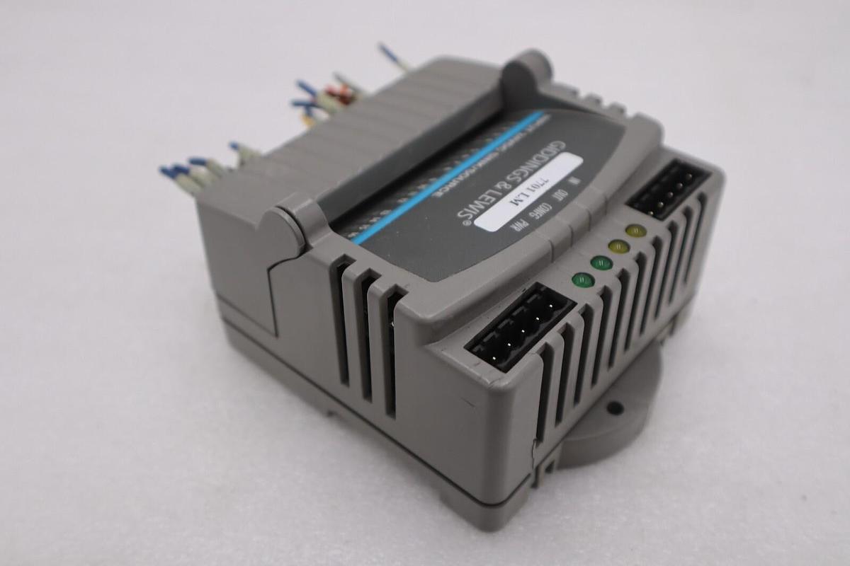 Used GIDDINGS & LEWIS M.1300.7372 R1 Input Module 24VDC SINK/SOURCE STOCK 636-D