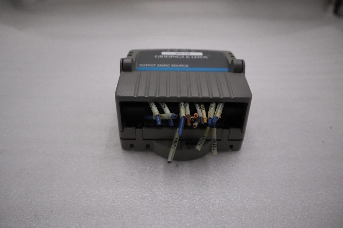 Used GIDDINGS & LEWIS DANAHER MOTION M.1017.3095 R3 / M10173095 R3 MODULE #5196A