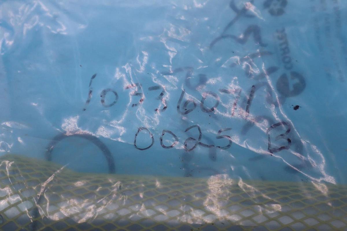 SLEEVE SHAFT-LOCKING 316SS R70047X-2223 GOULDS BOILER FEED PUMP 3316 SI #L-213A