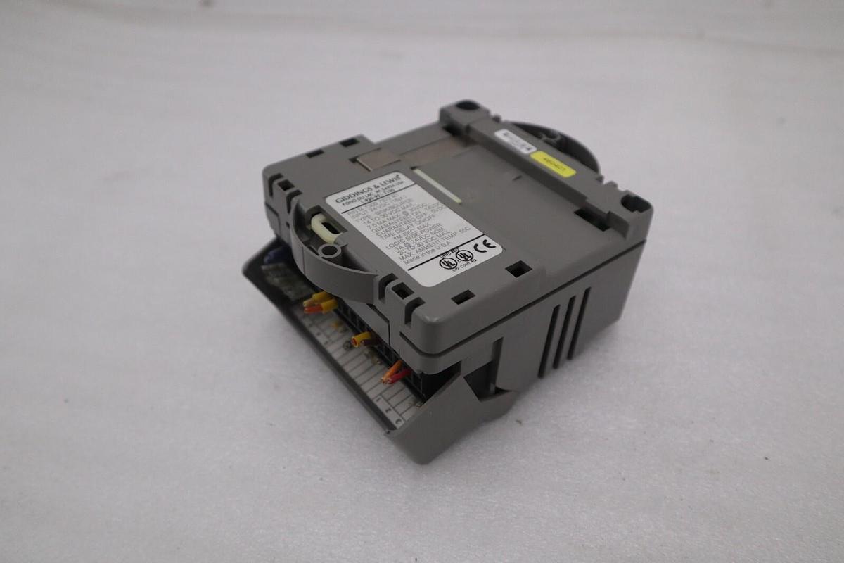 Used GIDDINGS & LEWIS M.1300.7372 R1 Input Module 24VDC SINK/SOURCE STOCK 635-D