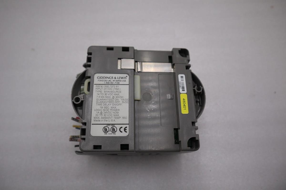 Used Giddings & Lewis M.1300.7372 R1 Input Module 24VDC SINK/SOURCE STOCK 5176A