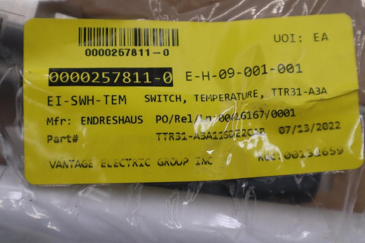 Used ENDRESS+HAUSER THERMOPHANT T TTR31 TTR35 STOCK #G-569A