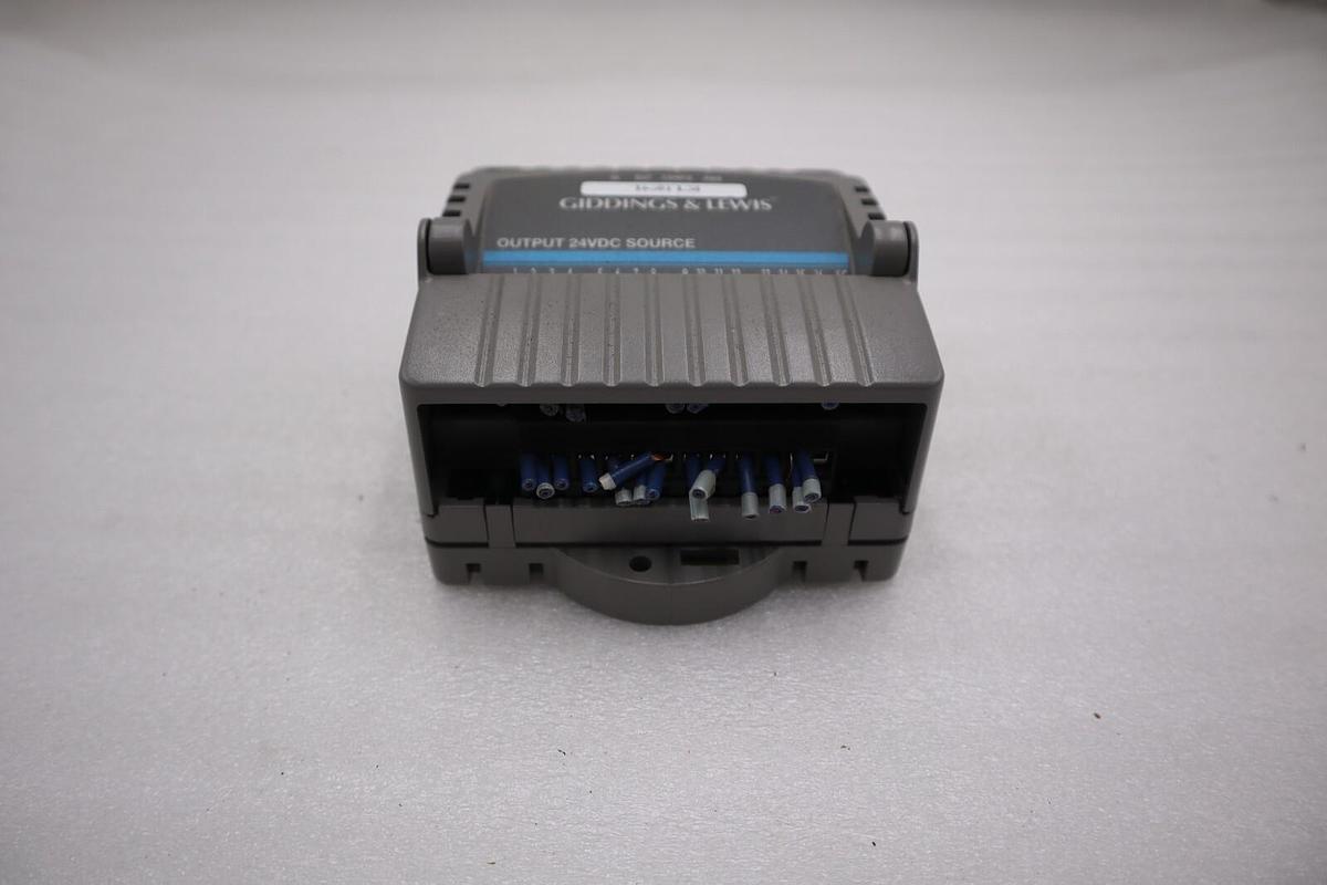 Used GIDDINGS & LEWIS DANAHER MOTION M.1017.3095 R3 / M10173095 R3 MODULE #5202A