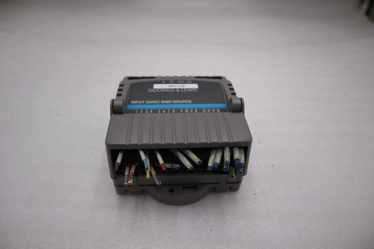 Used Giddings & Lewis M.1300.7372 R1 Input Module 24VDC SINK/SOURCE STOCK 5176A