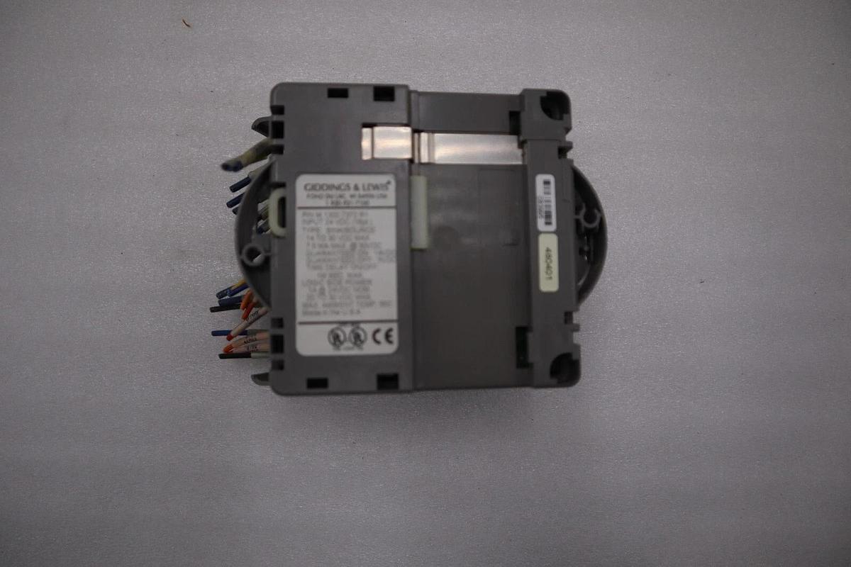 Used Giddings & Lewis M.1300.7372 R1 Input Module 24VDC SINK/SOURCE STOCK 5157A
