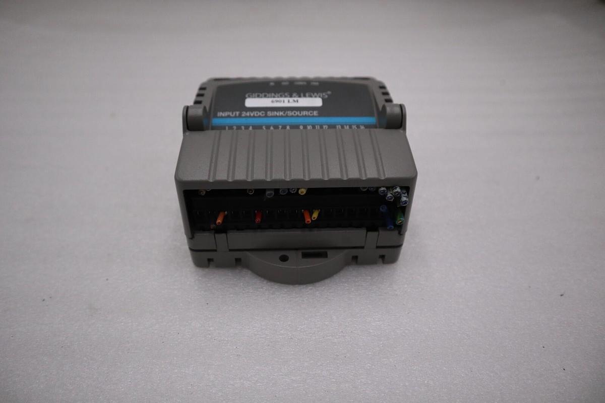 Used Giddings & Lewis M.1300.7372 R1 Input Module 24VDC SINK/SOURCE STOCK 5164A