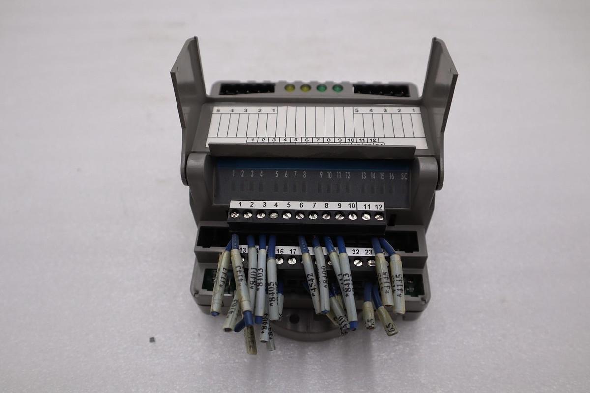 Used GIDDINGS & LEWIS DANAHER MOTION M.1017.3095 R3 / M10173095 R3 MODULE #6000