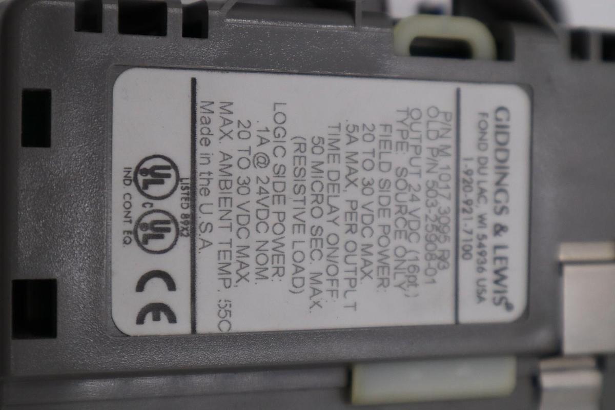 Used DANAHER MOTION M.1017.3095 R3 / M10173095 R3 GIDDINGS & LEWIS MODULE #6037
