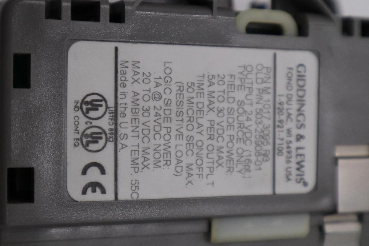 Used DANAHER MOTION M.1017.3095 R3 / M10173095 R3 GIDDINGS & LEWIS MODULE #6037