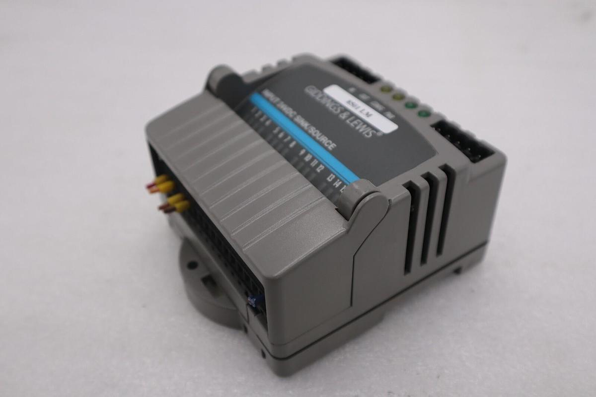 Used GIDDINGS & LEWIS M.1300.7372 R1 Input Module 24VDC SINK/SOURCE STOCK 637-D