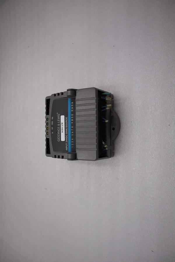 Used Giddings & Lewis M.1300.7372 R1 Input Module 24VDC SINK/SOURCE STOCK 5172A