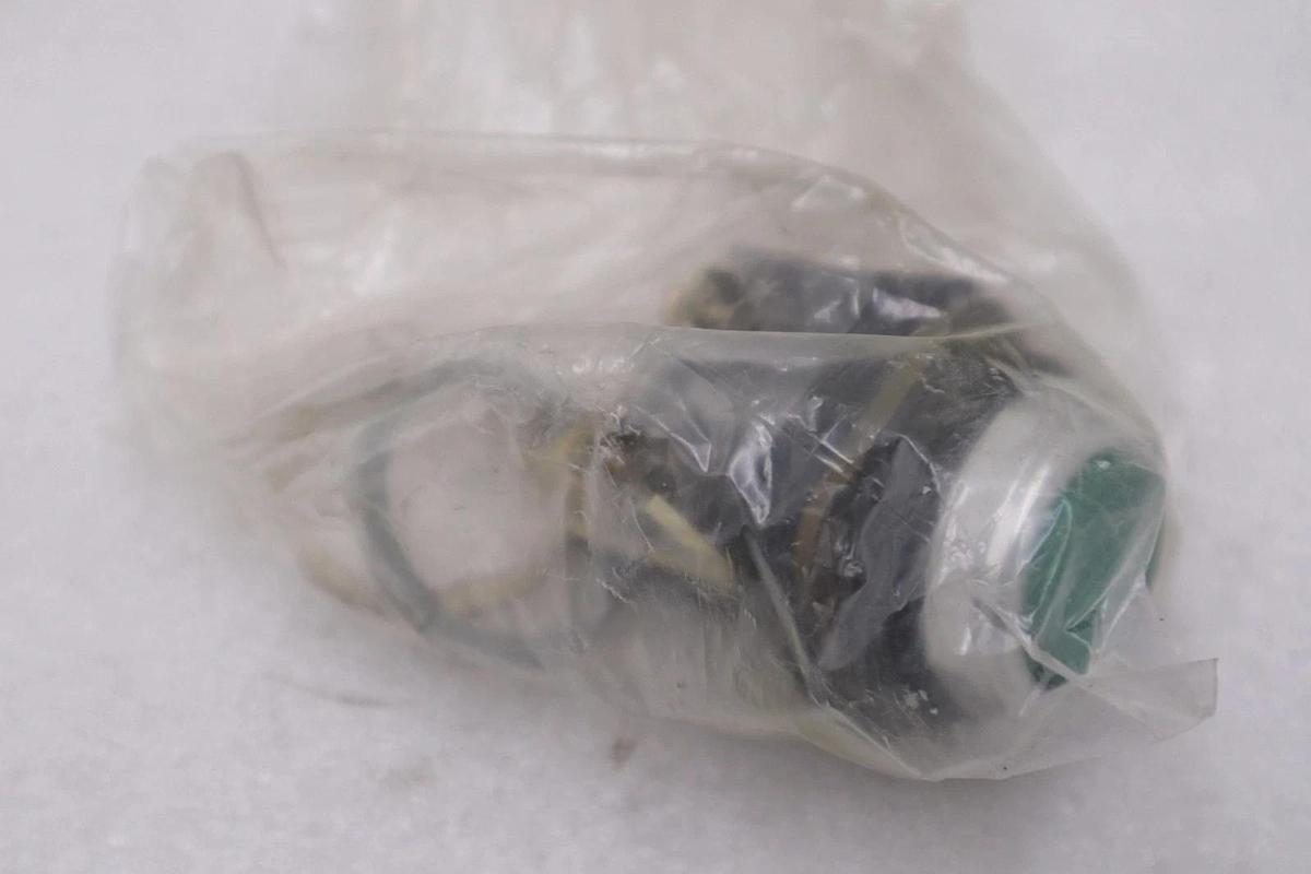 AB Allen Bradley 800T-A1D1 Push Button Flush Head Green STOCK 6060