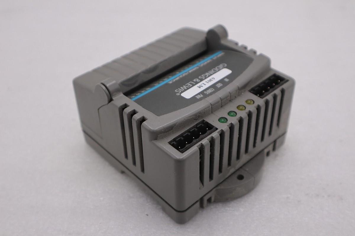 Used GIDDINGS & LEWIS M.1300.7372 R1 Input Module 24VDC SINK/SOURCE STOCK 641-D