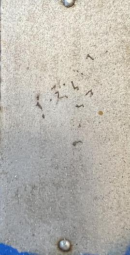 Refurbished CONTHERM 6"x9 Surface scrape heat exchanger