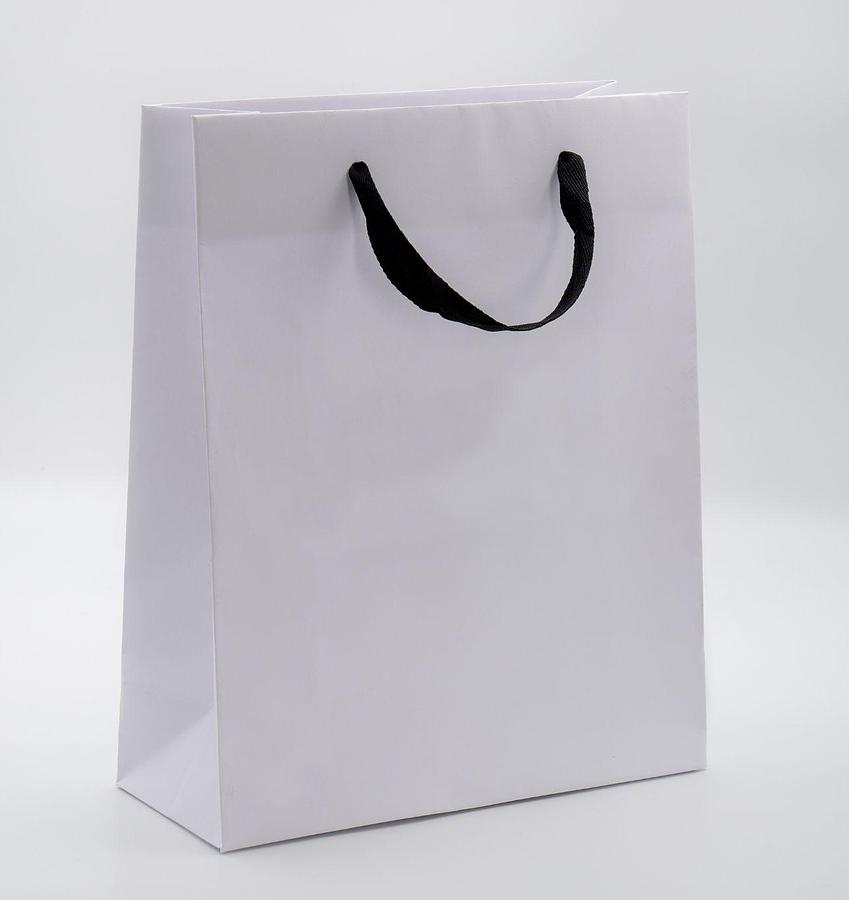 Used (visible in production) 2015 FANGBANG / JIANSHE  Sheet-Fed Paper Boutique Bag Making Machine  Model: ZD-QFP14B