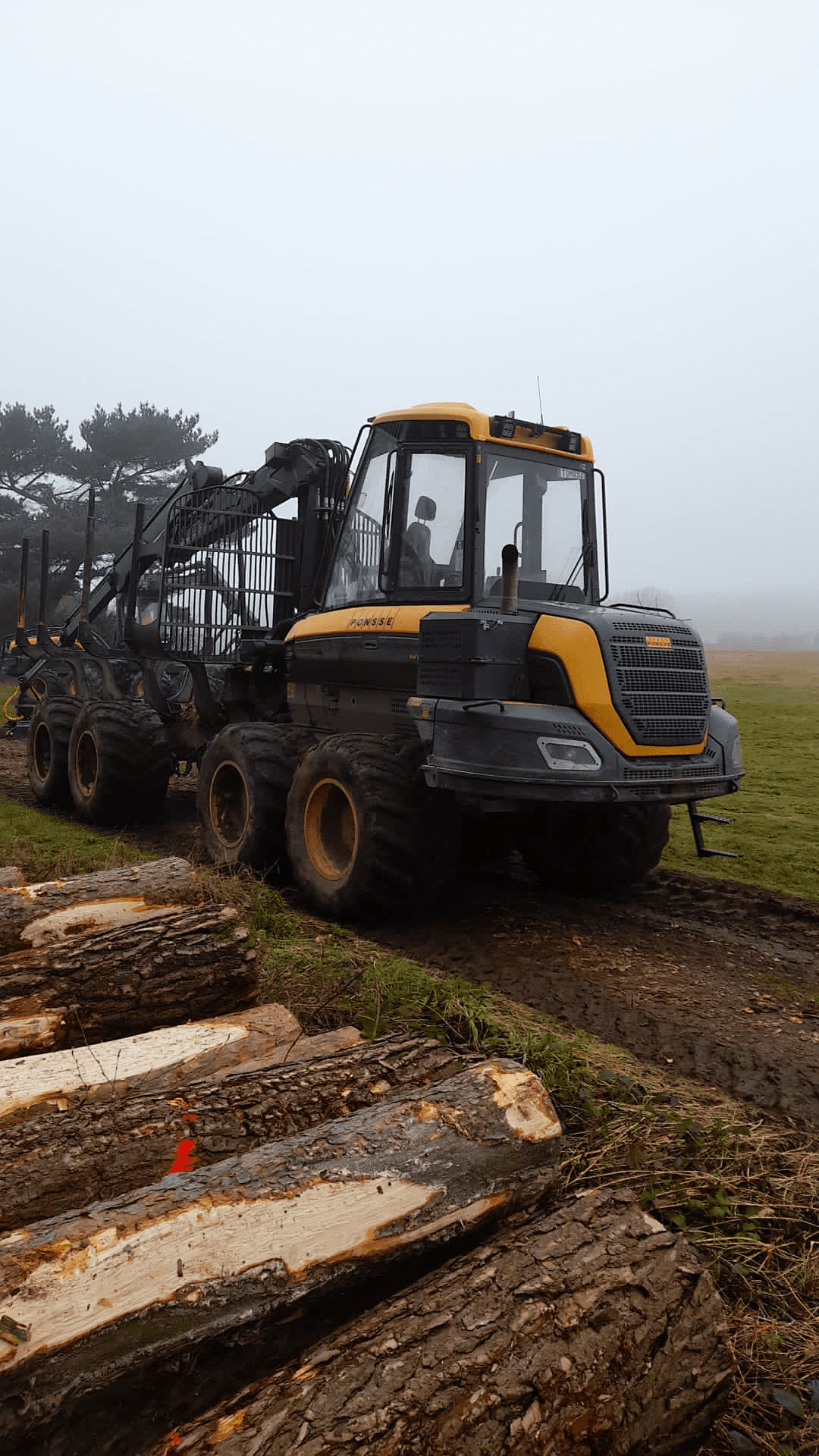 Used Ponsse Wisent 8-Wheeler - Forwarder - 2017