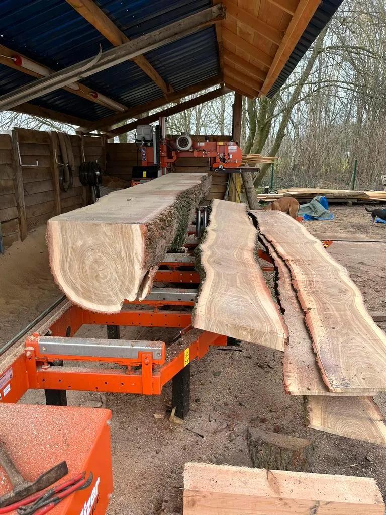 Usado Sierra de cinta Woodmizer LT20 I
