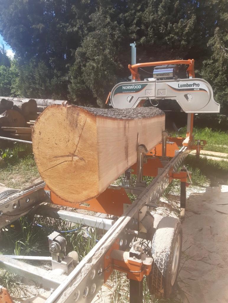 Used Norwood LumberPro HD36 I Mobile Sawmill I 2020